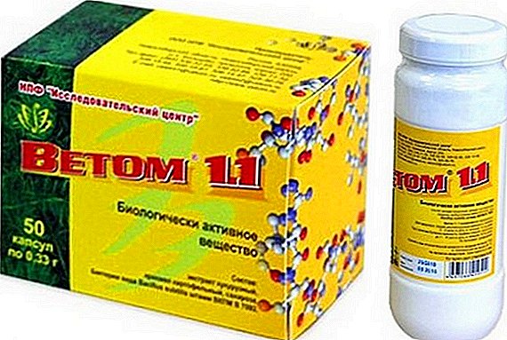 داروهای دامپزشکی "Vetom 1.1": دستورالعمل برای استفاده