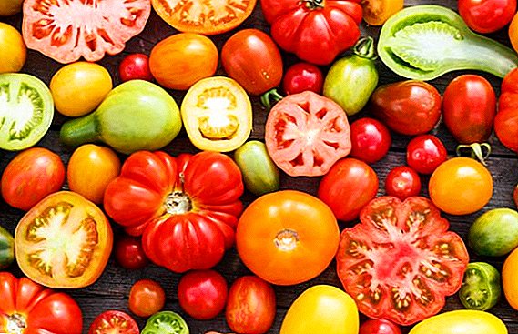 Top X suavissimus varietates tomatoes in mensa tua