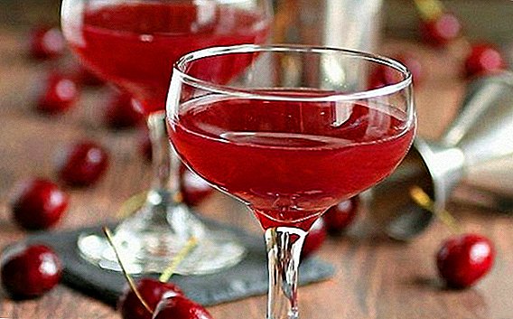 Nangungunang 10 mga recipe para sa homemade cherry tinture