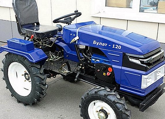 Mini-traktore "Bulat-120": berrikuspena, ereduaren gaitasun teknikoak