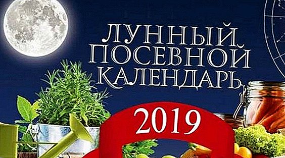 Lunar sáning dagbók fyrir 2019 fyrir Moskvu svæðinu