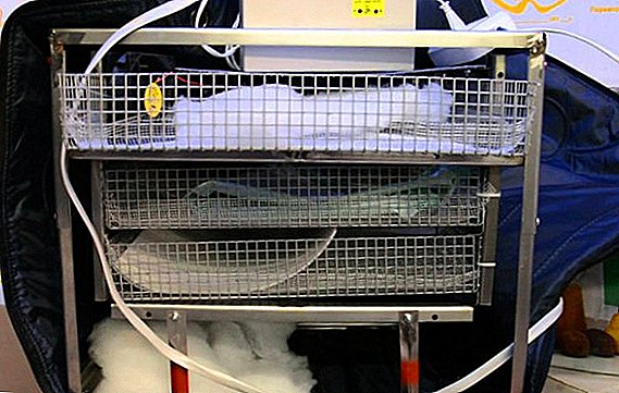 Entuk inkubator kanggo endhog "TGB-210"