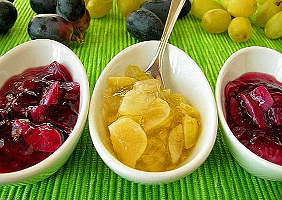 How to cook a grape jam: 3 super-recipes