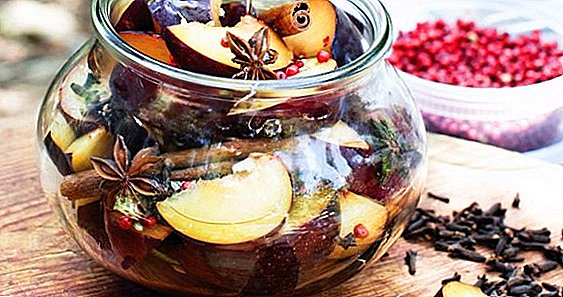 Yuav ua li cas pickle plums rau lub caij ntuj no: 3 zoo tshaj plaws recipes