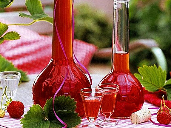 5 girke-girke strawberry tincture a kan vodka, moonshine da barasa