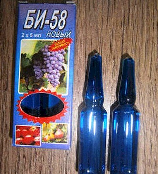 "BI-58" ಎಂಬ ಕೀಟನಾಶಕದ ಬಳಕೆ: ಕ್ರಿಯೆಯ ಮತ್ತು ಬಳಕೆಯ ದರಗಳ ಕಾರ್ಯವಿಧಾನ