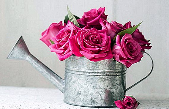 Jinsi ya kuokoa roses katika vase tena: 9 tips vidokezo
