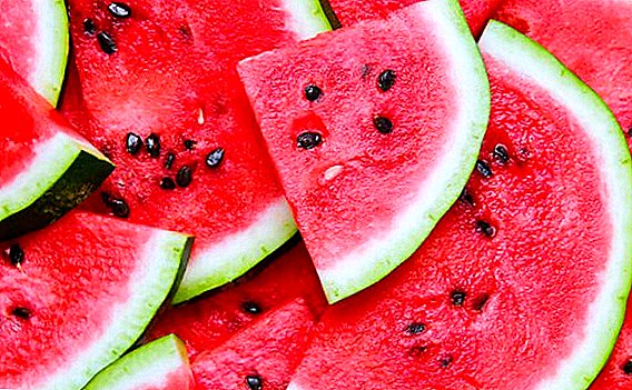 Watermelon: beth sydd wedi'i gynnwys yn y cyfansoddiad, beth sy'n ddefnyddiol, sut i ddewis a thorri, faint sy'n cael ei storio