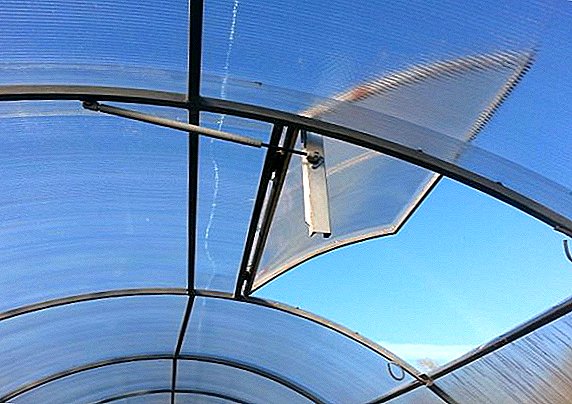 Awtomatikong bentilasyon ng greenhouse: isang thermal actuator sa iyong sariling mga kamay