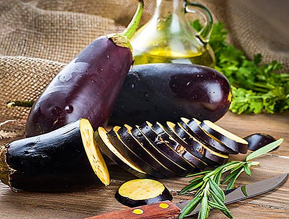 Eggplant នៅក្នុងការបិទភ្ជាប់ប៉េងប៉ោះពីការបិទភ្ជាប់ប៉េងប៉ោះ: រូបមន្តសាមញ្ញនិងហ៊ាន