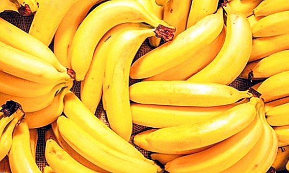 Banana: imisa kalori, waxa ku jira, waxa wanaagsan, ee aan cuni karin