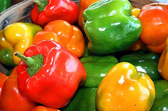 Bulgarian pepper: kung ano ang mga bitamina na naglalaman ito, kung ano ang kapaki-pakinabang