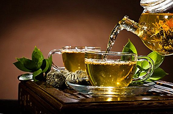 Чај од лисјата на растенијата: собирање, сушење, рецепт