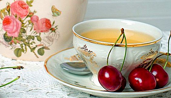 I-Cherry leaf tea: lapho ukuqoqa, ukuthi usomile kanjani nokuthi ungayenza kanjani itiye