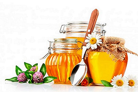 چرا گل عسل مفید است؟