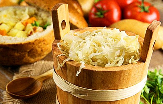 Sauerkraut पेक्षा उपयोगी आणि हानीकारक काय आहे?