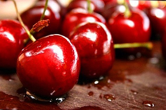 Sweet cherry Pravila za njegu jeseni