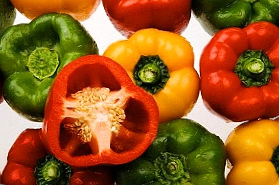 Што треба да знаете за одгледување на пиперки