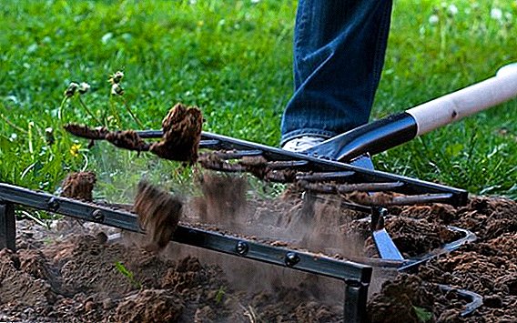 Miracle Spade-Mug: características e vantaxes do uso de ferramentas de xardín
