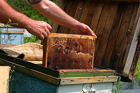 Šta je ekstraktor meda?