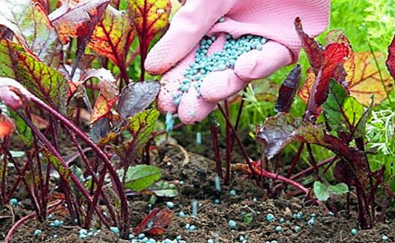 რა არის საჭირო და როგორ გამოვიყენოთ potash-phosphate fertilizers
