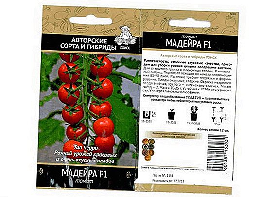 Alang sa mga greenhouses ug bukas nga yuta: Tomato Madeira