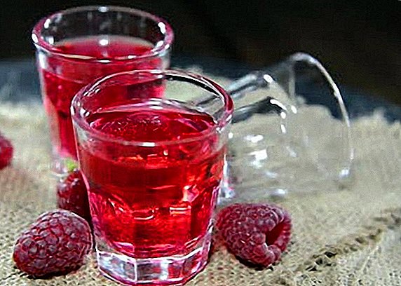 Ang homemade raspberry wine, ang pinakamahusay na mga recipe