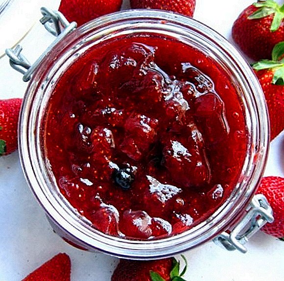 ការស្តារ strawberry homemade: រូបមន្តមួយជំហានដោយរូបជាមួយរូបថត