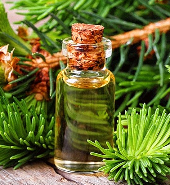 Pine essential oil: ny fanasitranana sy ny fampiharana