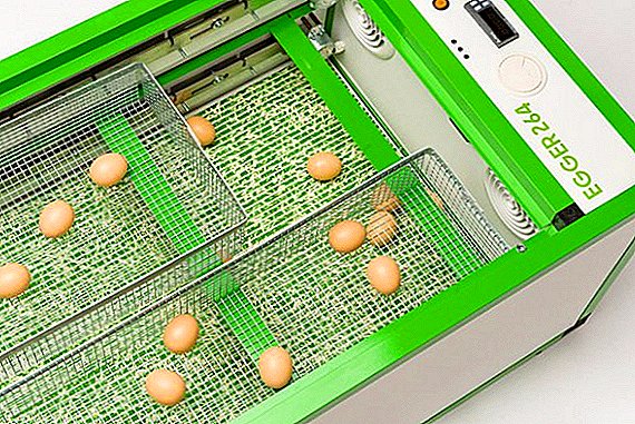 Egger 264 Pregled inkubatora jaja