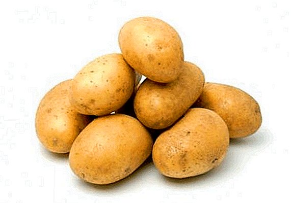 Варианти картошка дар Аврупо