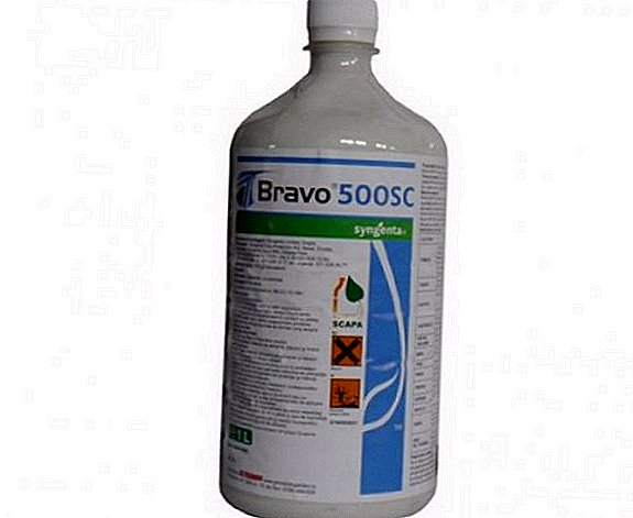 I-Fungicide "Bravo": ukwakheka, indlela yokusebenzisa, imfundo