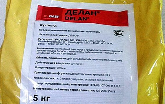 Fungitsid "Delan": preparat, foydalanish usullari, preparatning muvofiqligi va toksikligi