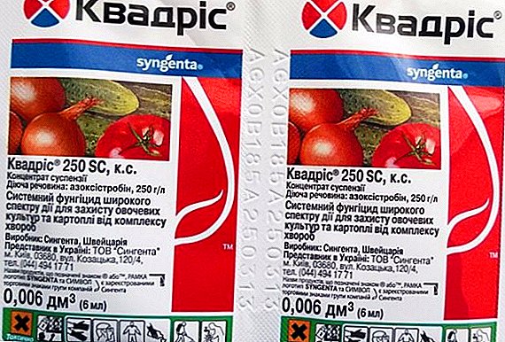 Fungicide "Kvadris": mga instruksyon alang sa paggamit sa droga