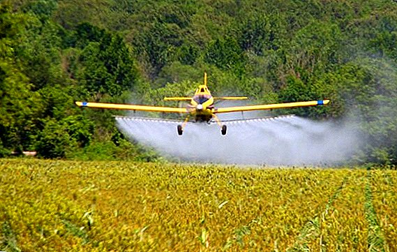 Herbicid "Legjioni": metoda e zbatimit dhe shkalla e konsumit