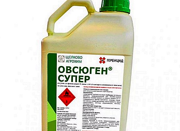 Herbicide "Ovsyugen Super": āhuatanga, pehea ki te whakamahi