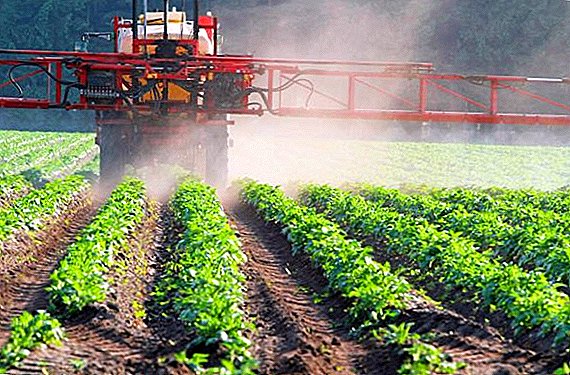 Herbicide "Pivot": aktibong sahog, pagtuturo, rate ng pagkonsumo
