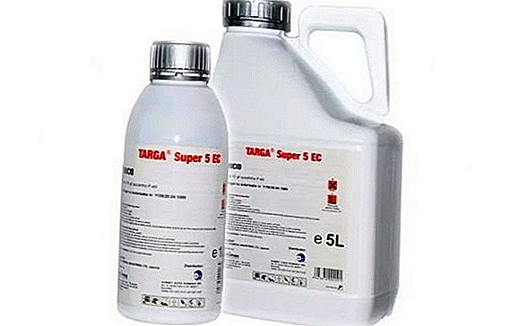 Herbicide "Targa Super": կիրառման մեթոդը եւ սպառման ցուցանիշները