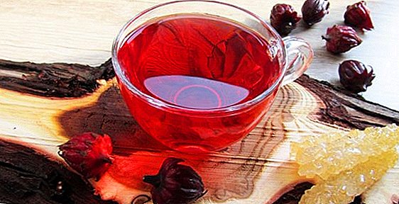 I-Hibiscus (i-hibiscus tea): izakhiwo eziwusizo kanye nokuphikisana