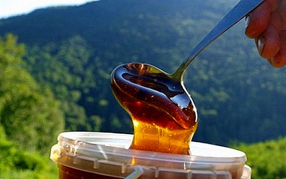 Mountain honey: naon hade dipake, saha anu tiasa ngarugikeun, kumaha pikeun ngabédakeun kalsu