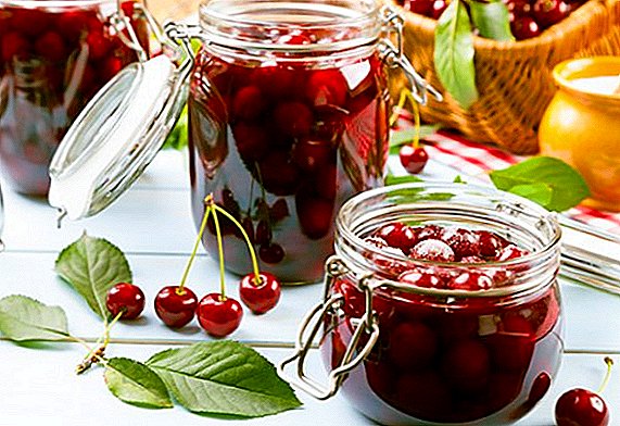 Cooking Cherry Jam ka Liphoso: Tlhahiso e Bonolo le e monate