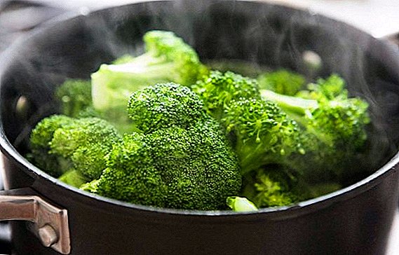 Sise ati broccoli ikore