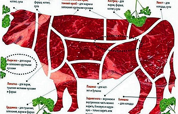 Carne: beneficios e danos ao corpo
