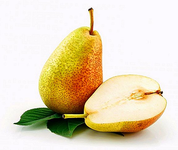 Pear "Beauty Chernenko": izici, izinzuzo kanye nokuqapha