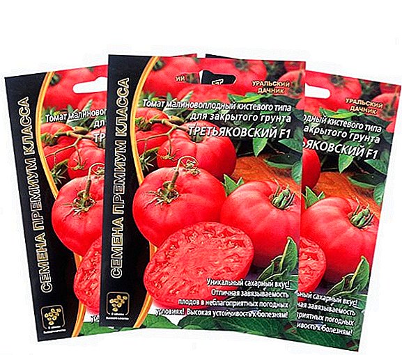 Varyete karakteristik tomat "Tretyakov"