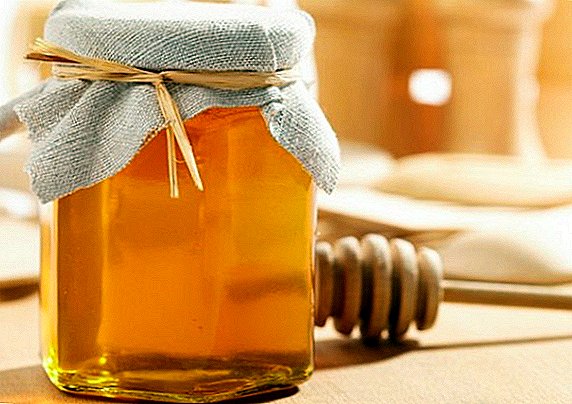 Чување на мед дома