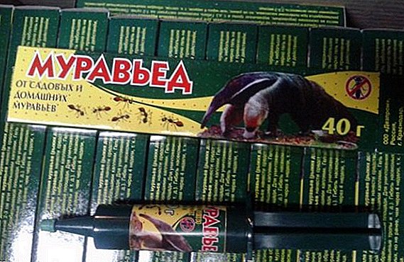 Intsektizida "Anteater": tresna nola erabili inurriak borrokatzeko