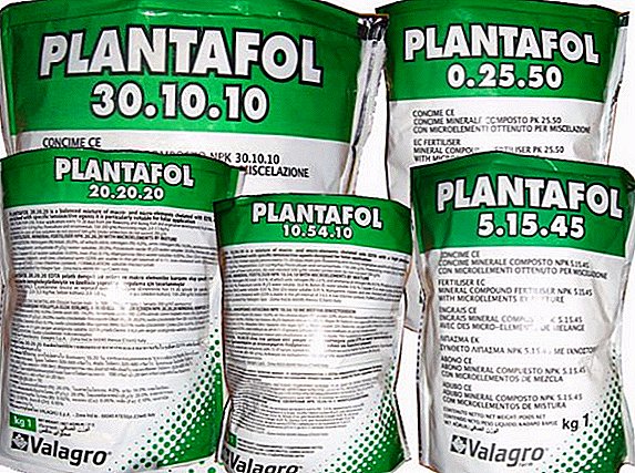 Upute, učinkovitost i prednosti korištenja gnojiva "Plantafol"
