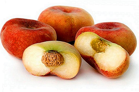 : Peach Peach: пайдасы жана зыяны