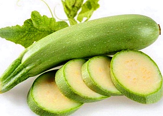 Zucchini: bisa mangan mentahan, akeh ngemot kalori lan nutrisi tinimbang migunani kanggo awak